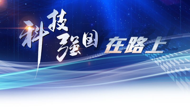 研发外包合同条款：关键要素与注意事项**